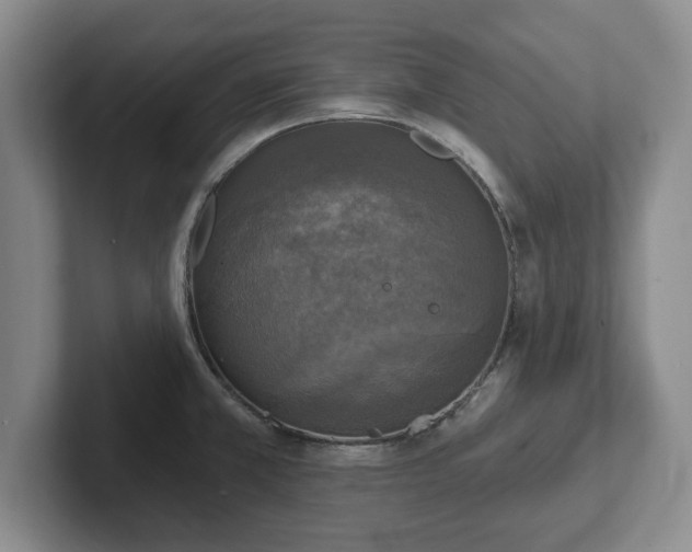 X0000102411381200808081316