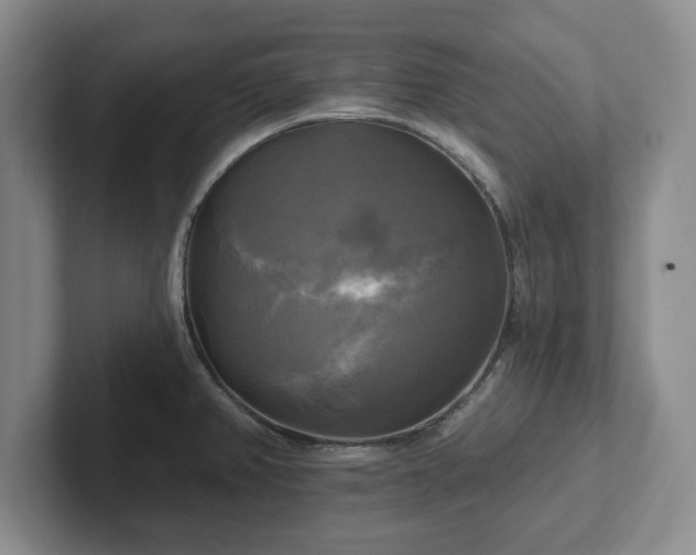 X0000102411382200808081316