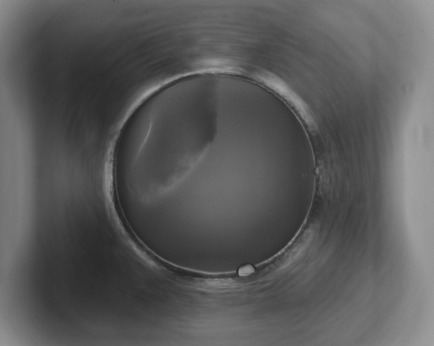 X0000102411383200808081316