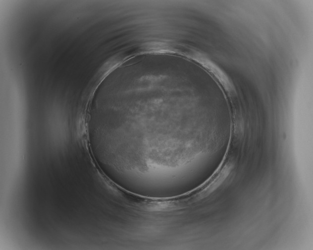 X0000102411385200808081316