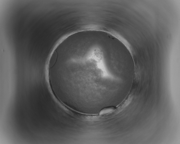 X0000102411389200808081316