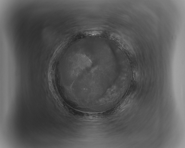 X0000102411393200808081315