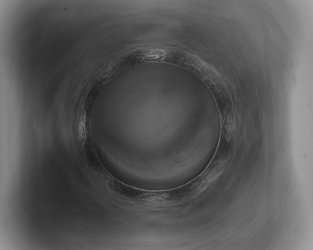 X0000102411394200808081315