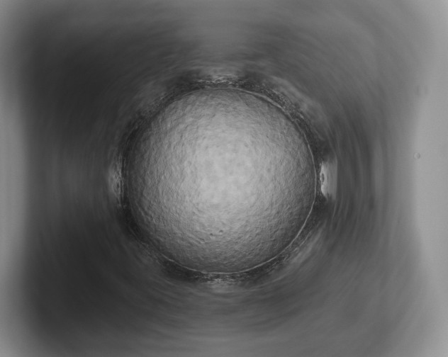 X0000102411395200808081315