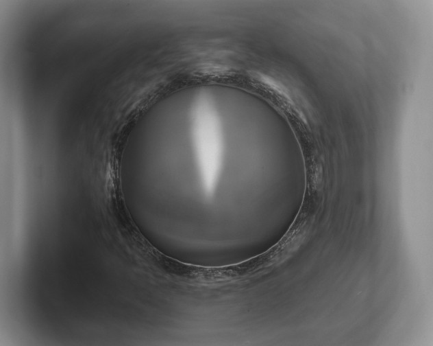 X0000102411397200808081315