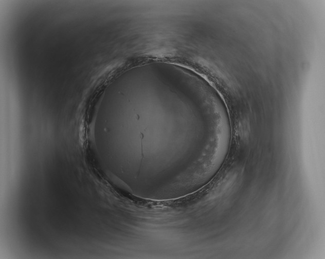 X0000102411398200808081315