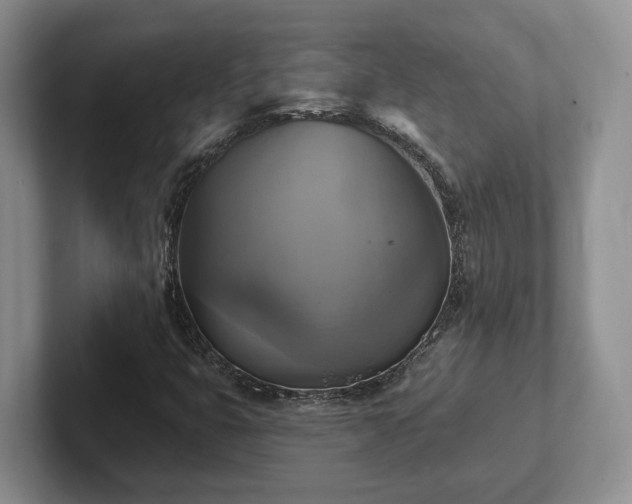 X0000102411399200808081315