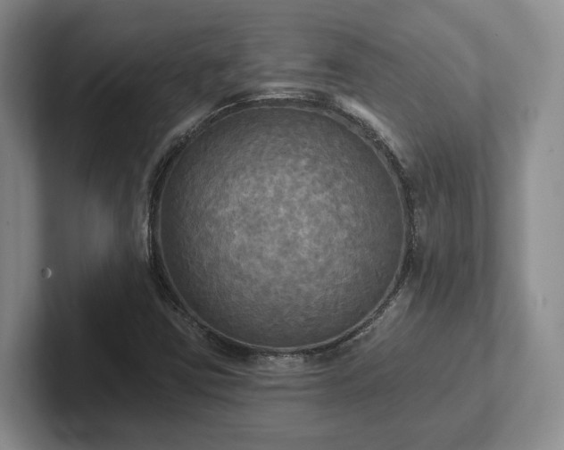 X0000102411403200808081315