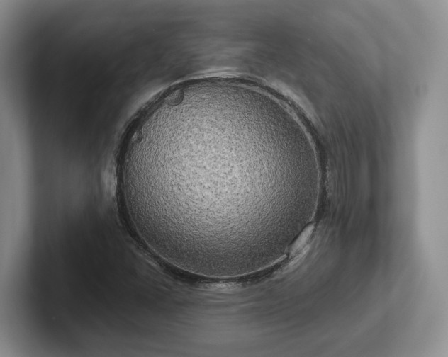 X0000102411406200808081315