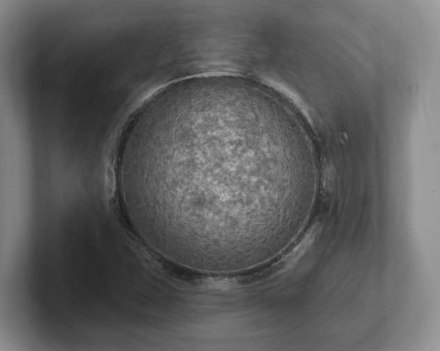 X0000102411407200808081315