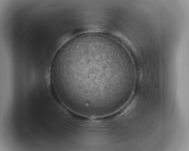 X0000102411409200808081315