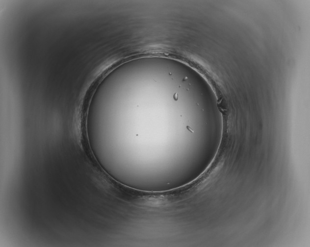 X0000102411410200808081315