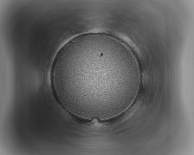 X0000102411412200808081315