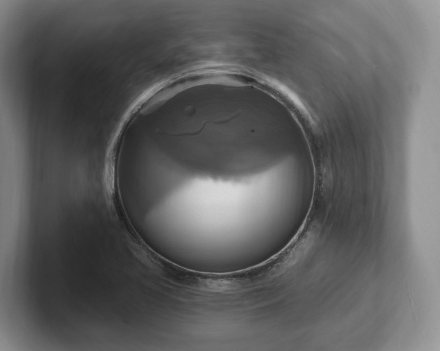 X0000102411413200808081315