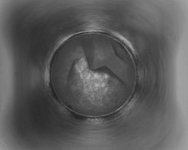 X0000102411415200808081315