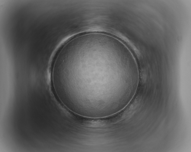 X0000102411416200808081315