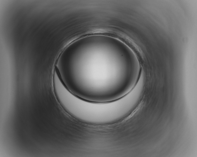 X0000102411417200808081315