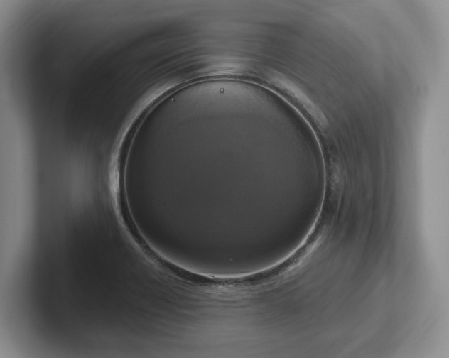 X0000102411418200808081315