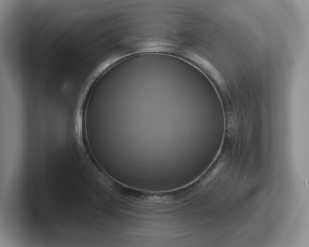 X0000102411419200808081315