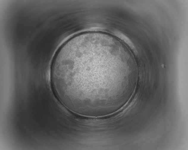 X0000102411420200808081315