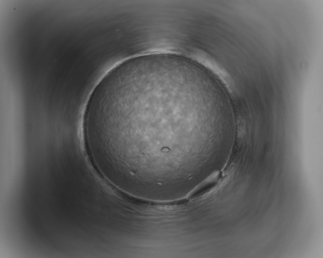 X0000102411423200808081315