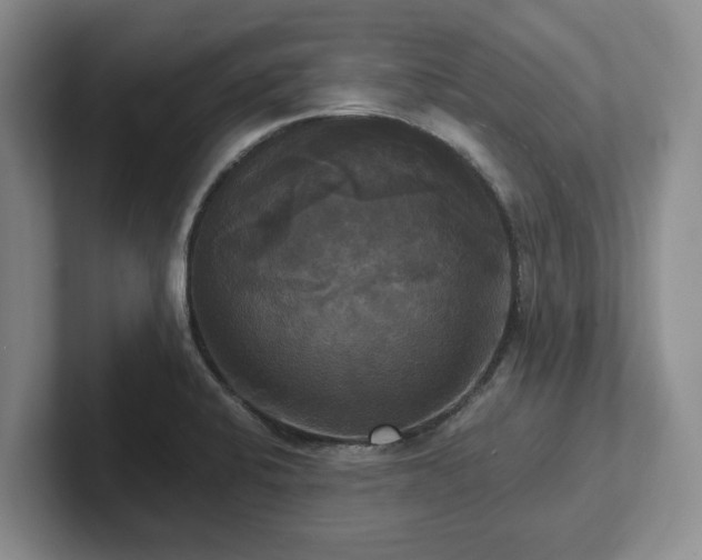 X0000102411424200808081315