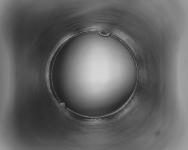 X0000102411426200808081315