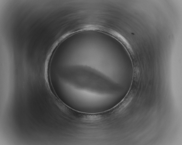 X0000102411427200808081315