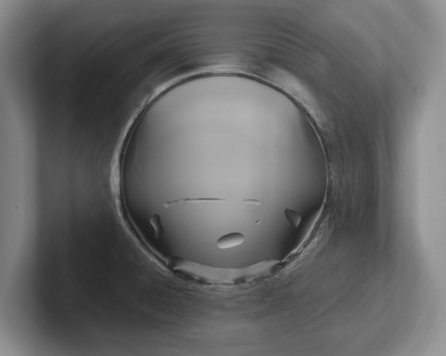 X0000102411428200808081315