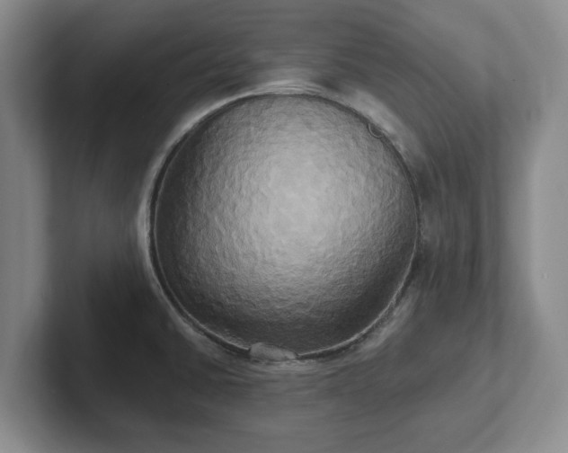 X0000102411430200808081315