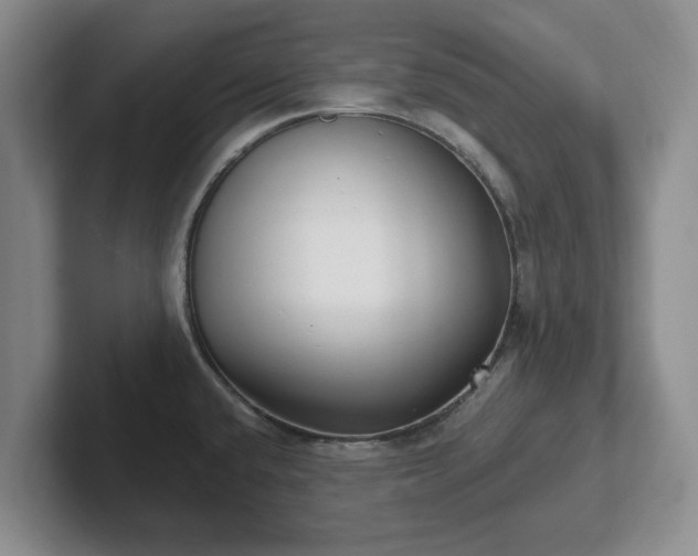 X0000102411432200808081315