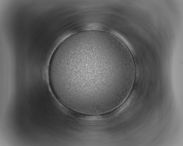 X0000102411434200808081315