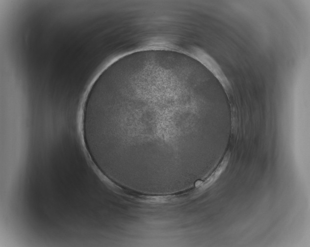 X0000102411438200808081315