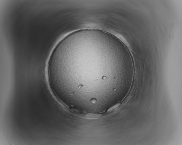 X0000102411440200808081316