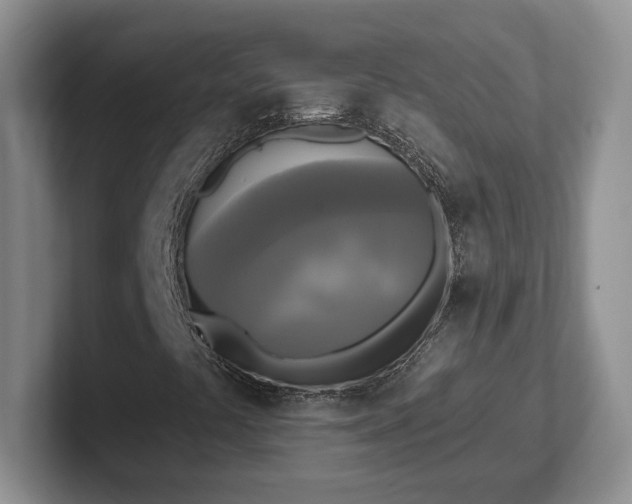 X0000102411441200808081315