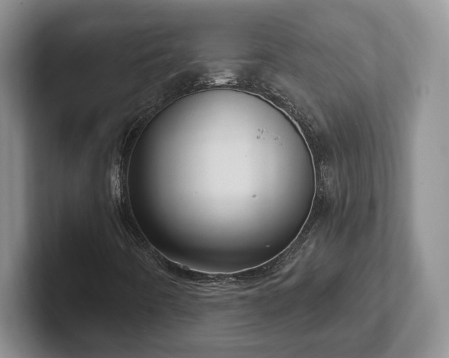 X0000102411442200808081315