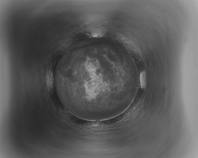 X0000102411443200808081315