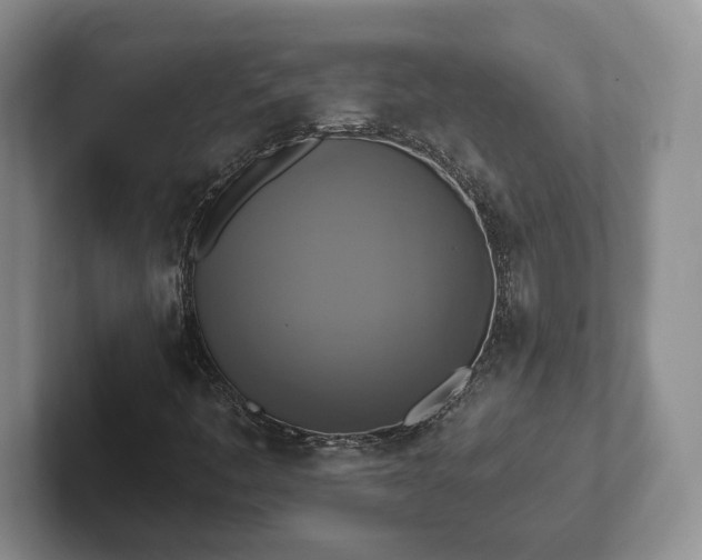 X0000102411445200808081315