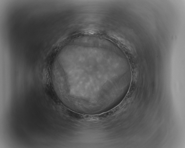 X0000102411446200808081315