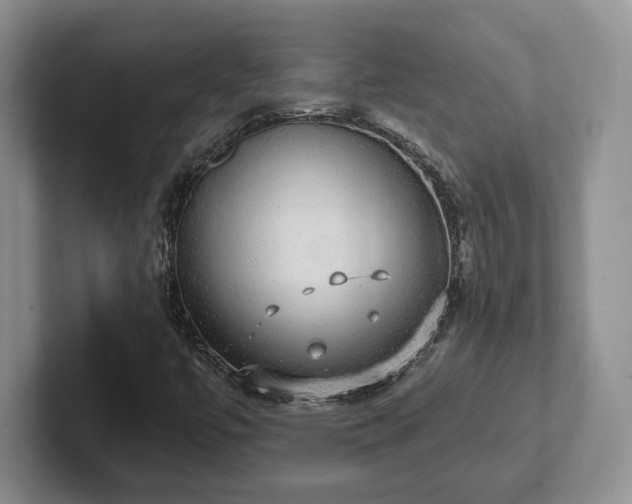 X0000102411447200808081315