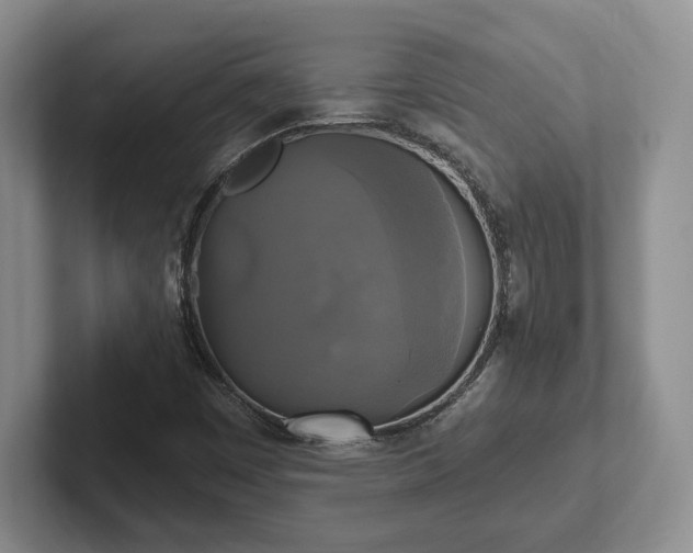 X0000102411449200808081315