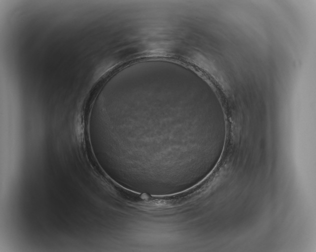 X0000102411450200808081315