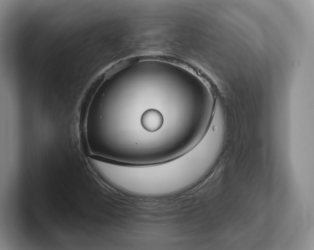 X0000102411452200808081315