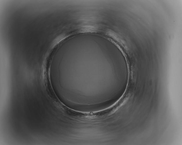 X0000102411453200808081315