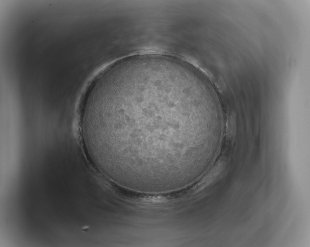 X0000102411454200808081315