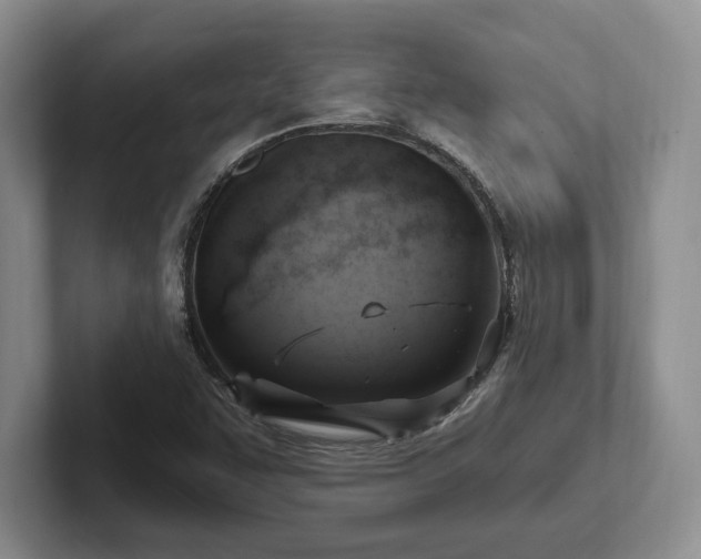 X0000102411455200808081315