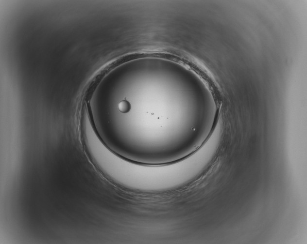 X0000102411456200808081315