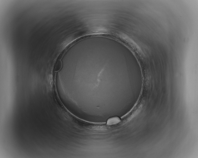 X0000102411457200808081315