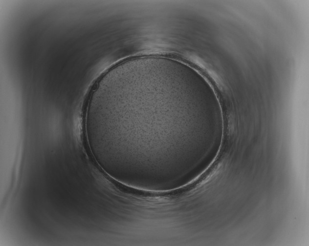 X0000102411459200808081315