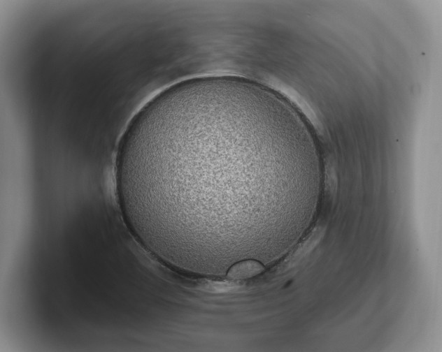 X0000102411460200808081315